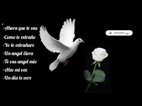 Canciones Para Recordar A Un Ser Querido #5... - YouTube