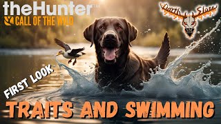 Labrador Retriever First Look -the Hunter: Call of the Wild