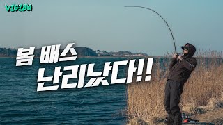 런커의 계절, 우리 모두 봄 덩어리 잡아 봅시다! [양성훈의 VISION] [4k]