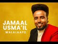 New Ethiopian Oromo Music Jamaal Usmaa Il Walalaatoo 2025