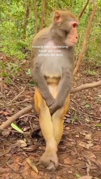 STORY WA 30 DETIK ✴️ || STORY WA TERBARU || STATUS WA 30 DETIK || STORY WA KEREN #Shorts