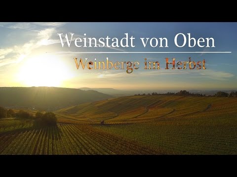 Weinstadt von Oben