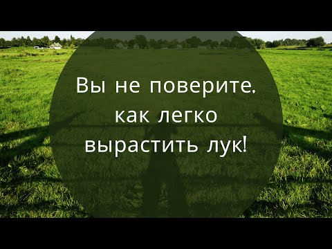Это самый простой способ посадки лука! Когда и как сажать лук