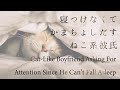 【女性向け】寝つけなくてかまちょしだすねこ系彼氏【シチュエーションボイス】