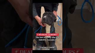 Download Lagu 👉 Follow on Facebook for updates: https://www.facebook.com/share/1DGthwCvG8/?mibextid=wwXIfr MP3