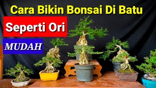 CARA MUDAH BIKIN BONSAI DI BATU SEPERTI ORI/ASLI