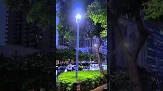 Download Lagu DALAM SUNYI KAU BERBICARA MP3