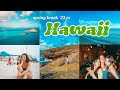 spring break in hawaii ❤️‍🔥🎲 | surfing, tanning, &amp; beach days