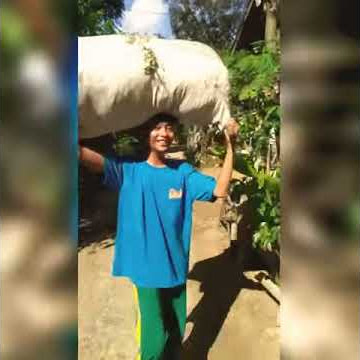 Lagu Madura Reng tanih