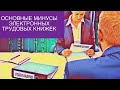 ПЯТЬ ОСНОВНЫХ МИНУСОВ ЭЛЕКТРОННЫХ ТРУДОВЫХ КНИЖЕК