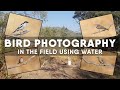 Bird Photography  - Using Water To Attract Birds - In The Field Vlog #1