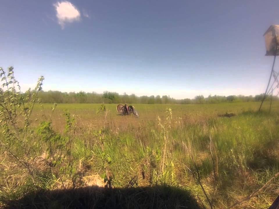 Oklahoma Turkey Hunt YouTube