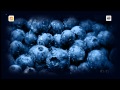 Probspot - Blueberry (Original Mix Edit)