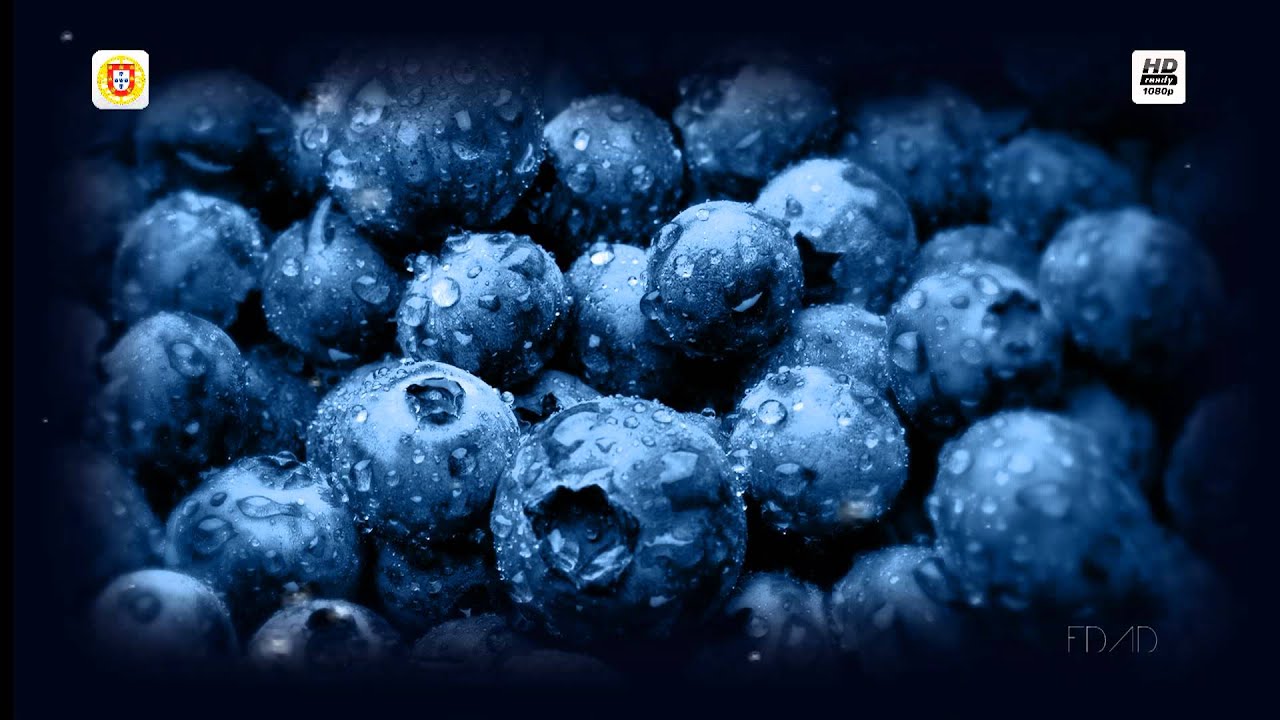 Watch Probspot - Blueberry (Original Mix Edit) on YouTube Watch Probspot - Blueberry (Original Mix Edit) on YouTube