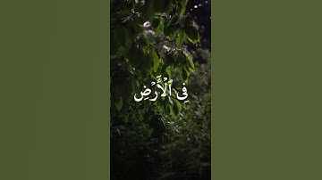 لحظات من الخشوع تلاوة تهز القلب المنشاوي
