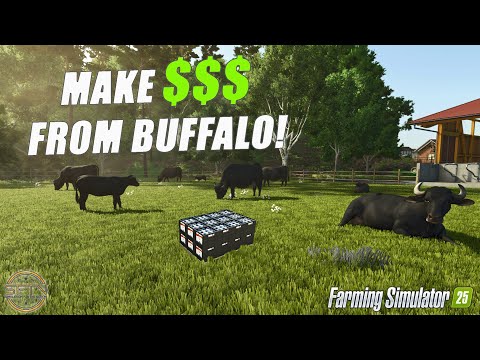 HOW TO MAKE A FORTUNE WITH WATER BUFFALO! Farming Simulator 25!