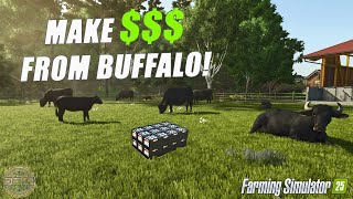 HOW TO MAKE A FORTUNE WITH WATER BUFFALO!  Farming Simulator 25! screenshot 5