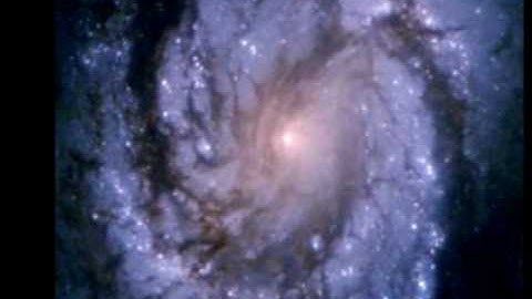 Prilaux Rainier String Trio Part Two