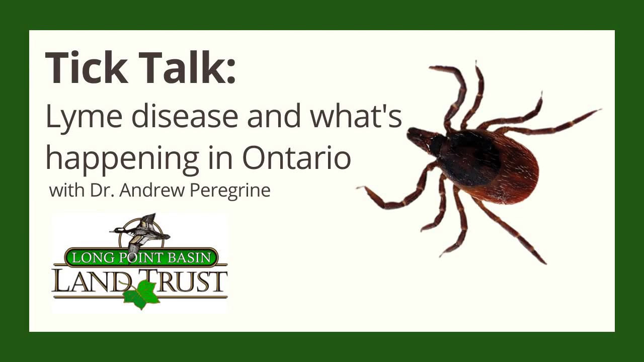 Tick Talk Lyme Disease and What's Happening in Ontario YouTube