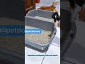 bau kotoran lenyap seketika 💩💩💩#petodorremover #petcare #petodor #petsoftiktok #kucing #petcenter