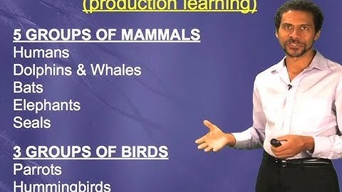 Vocal learning across species - Erich Jarvis (Duke/HHMI)