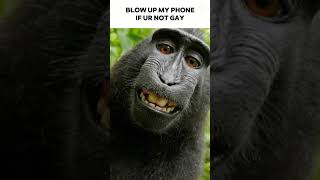 Come On I Know You Want To