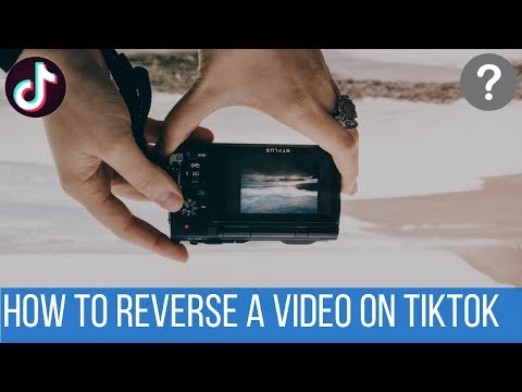 how-to-reverse-a-video-on-tiktok