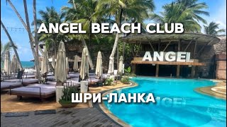 ШРИ-ЛАНКА 2025 | Лучшее место для отдыха , обзор клуба и пляжа Angel Beach Club в Унаватуне , цены
