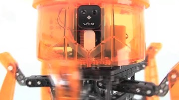 HEXBUG VEX Robotics Spider