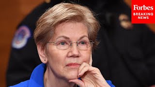 Elizabeth Warren Grills General About Plans To Use Funds For Long Term Security In Europe