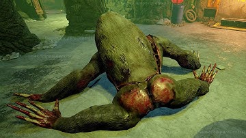 Zoochosis All Animal Animations