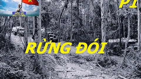 RỪNG ĐÓI (P1) kccm / tây nguyên / hồi ức
