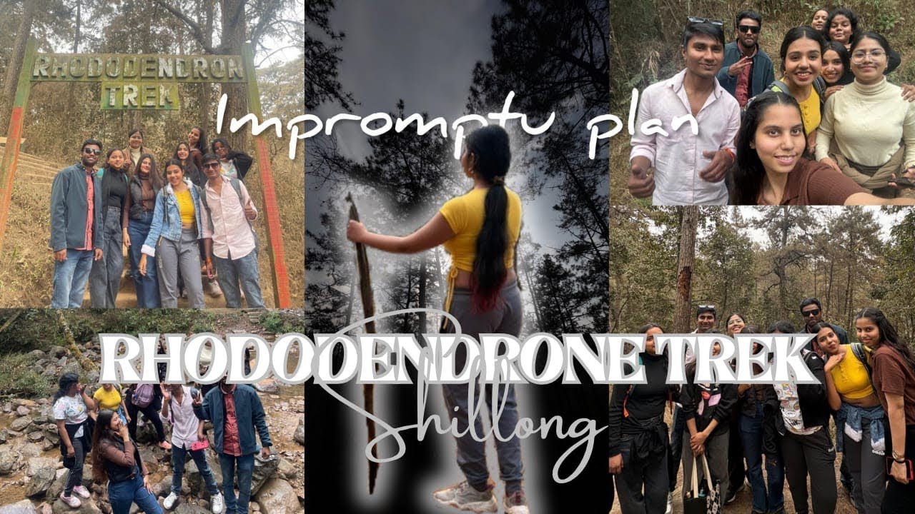 Rhododendron Trek । New Experience । Trekking With Friends । Shillong 