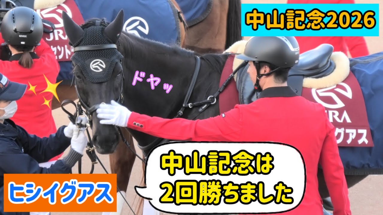 【中山記念2026】自分の功績をおっとり可愛くアピールするヒシイグアス【誘導馬】