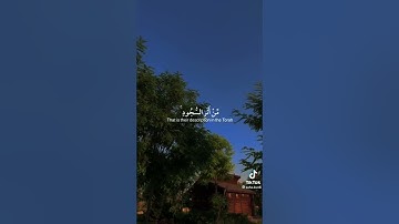 (محمد رسول الله) | تلاوة خاشعة | بصوت ياسر الدوسري 💚