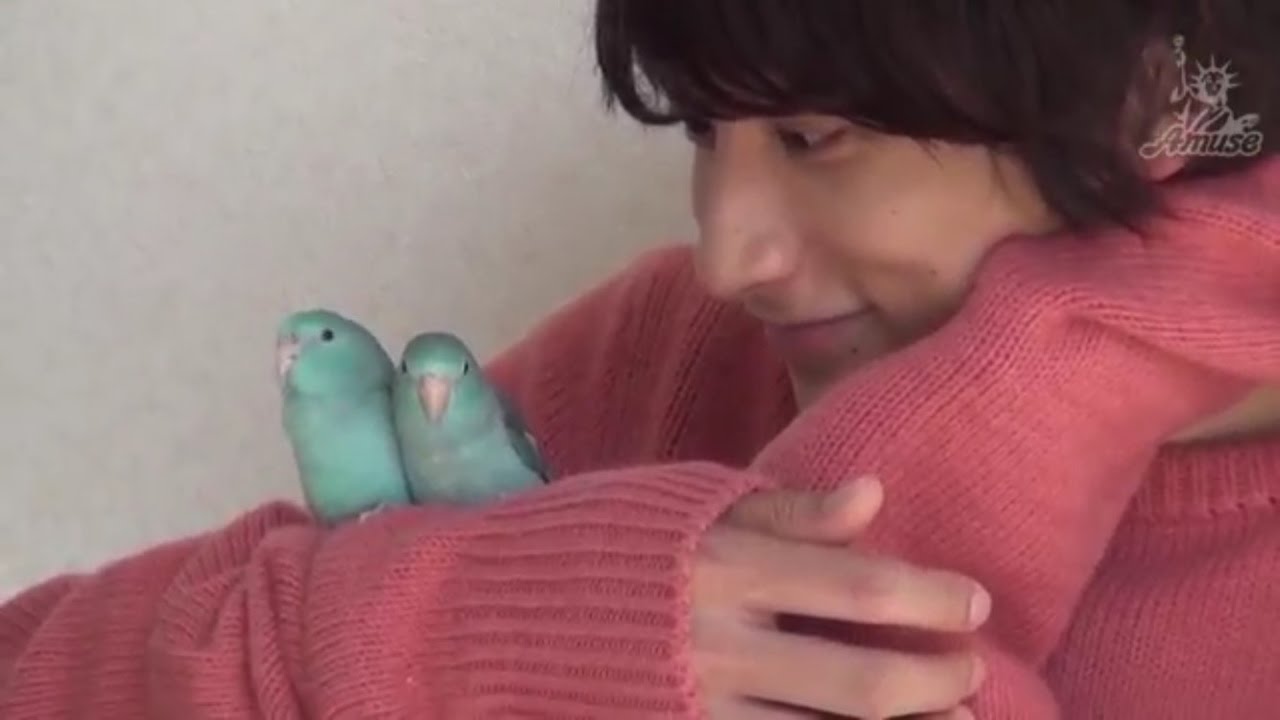 【アスマート】小関裕太 2017年カレンダー