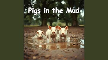 Pigs in the Mud
