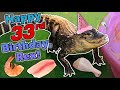 Giving our Alligator a Birthday Feast!