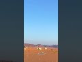 مالها الا راس عيطا مثل ناب البعير مالها الا راس عيطا مثل ناب البعير