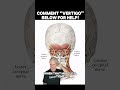 Natural occipital, neuralgia, relief and treatment in Riverview and brandon | Neckwise