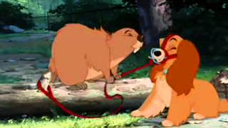 Lady and the Tramp Beaver