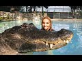 SWIMMING WITH ALLIGATORS