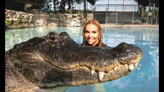 SWIMMING WITH ALLIGATORS