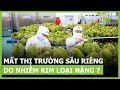 Su ring vit nam c nguy c mt th trng trung quc do nhim kim loi nng  vtc16