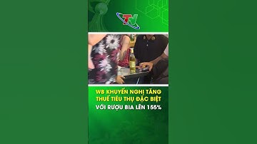 WB khuyến nghị tăng thuế tiêu thụ đặc biệt với rượu bia lên 155% | Thái Nguyên TV