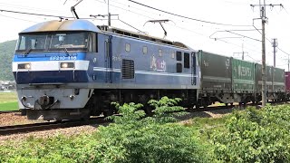 EF210-116 ECO-POWER桃太郎 新鶴見機関区