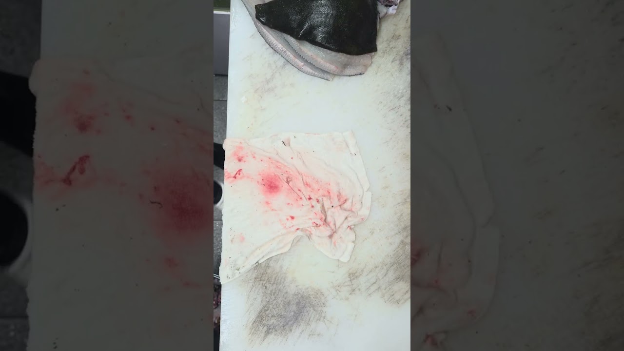 숭어.광어오로시
