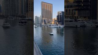 Dubai Marina Journey On The Boats Of Beauty