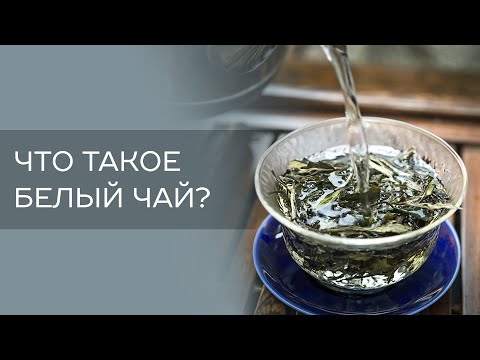 Что такое белый чай?
