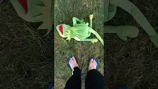 R I P KERMIT